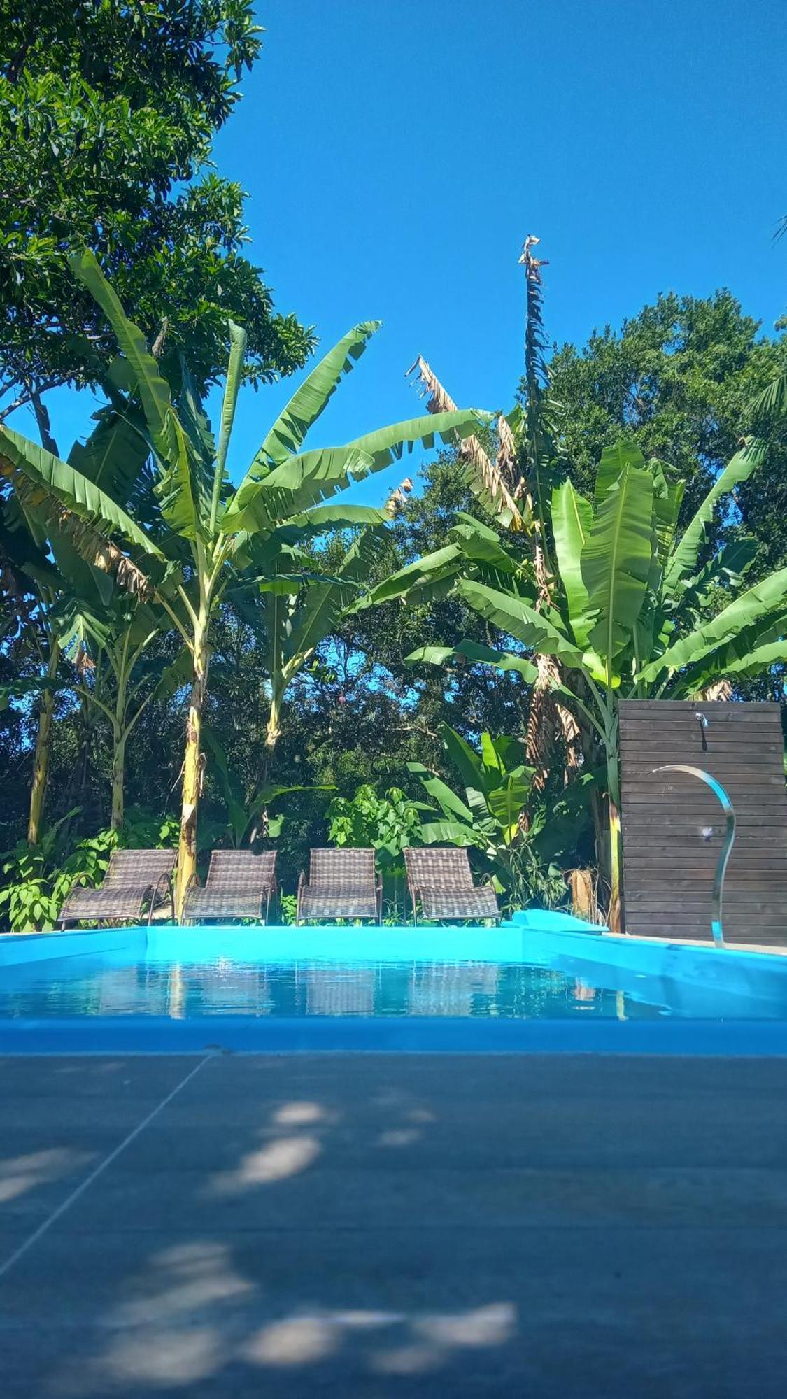 Pousada Hang Conectada Com A Natureza Florianópolis Eksteriør billede